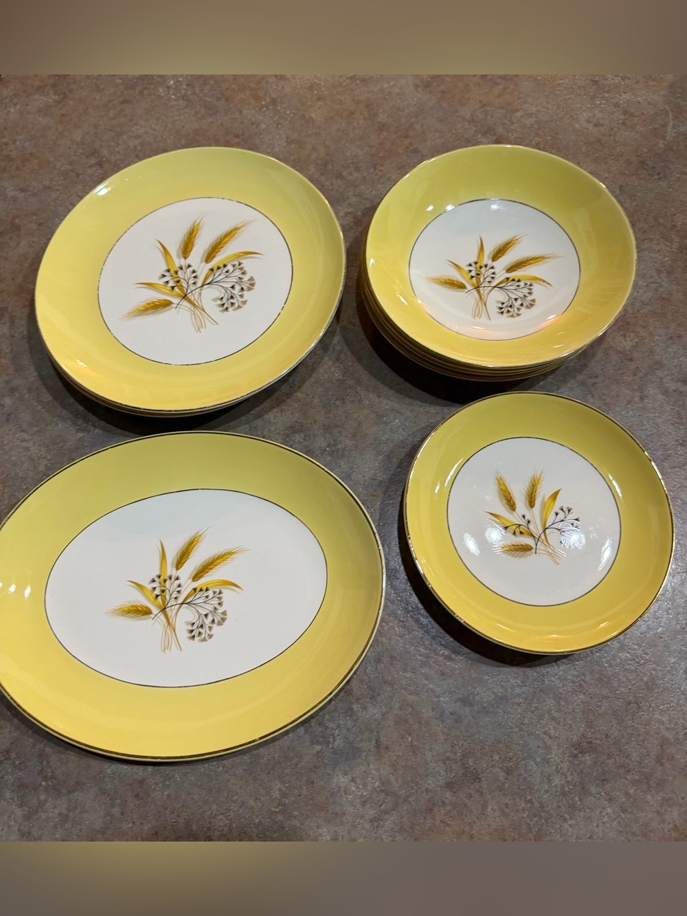 Vintage 13 piece Semi-Vitreous by Century Service Corporation. From 1950’s.